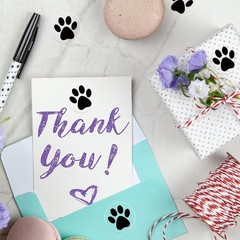 Paw Stickers, Clear Paw Prints Stickers, 500 Pcs 1 Inch Puppy Dog Paw Sticker…