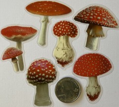 RED/WHITE MUSHROOM Mylar Stickers(6pc)Fungus•Dark•Garden •Toadstool•Spores•Grow•