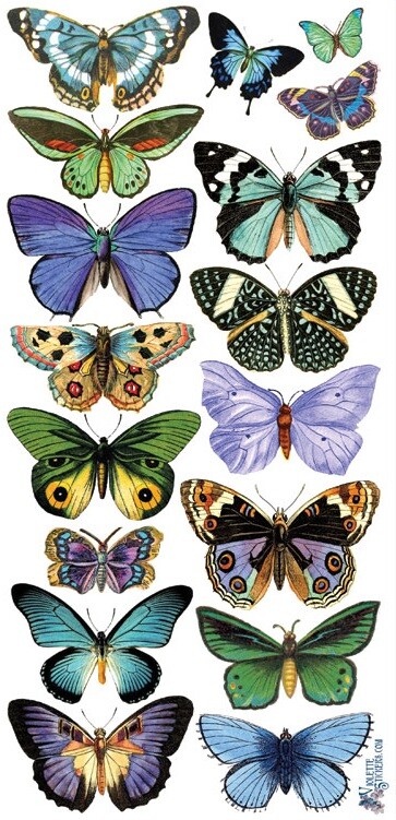 VIOLETTE STICKER – BLUE BUTTERFLIES – 8″ x 3 3/4″ (20cm x 9.5cm)