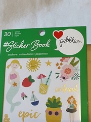 American Crafts Pebbles Sticker Book 30 sheets 1062 stickers foil accents NIP
