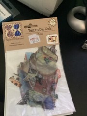 Paper Reflections 15 Vellum Die Cuts travel New