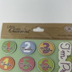 Pregnancy Mom To Be Baby Scrapbooking Stickers By Life’s Little Occasions Storm