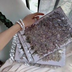 12PCS Pressed Dried Hydrangea Flower, natural pink purple, violet colors FHT32