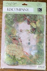 K&Company Colorful Handmade Acetate DieCut Frames Flowers Butterflies Scrapbook