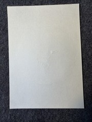 White Rabbit Sticker Decal Scrapbook Crafts Collectible Alice In Wonderland