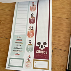 The Happy Planner – Disney – Mickey & Minnie Mouse Calendar Stickers 2