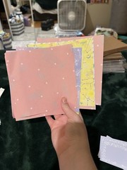 Crafter’s Square Classic Scrapbooking Lot Stickers Ribbon Paper Flowers Hearts