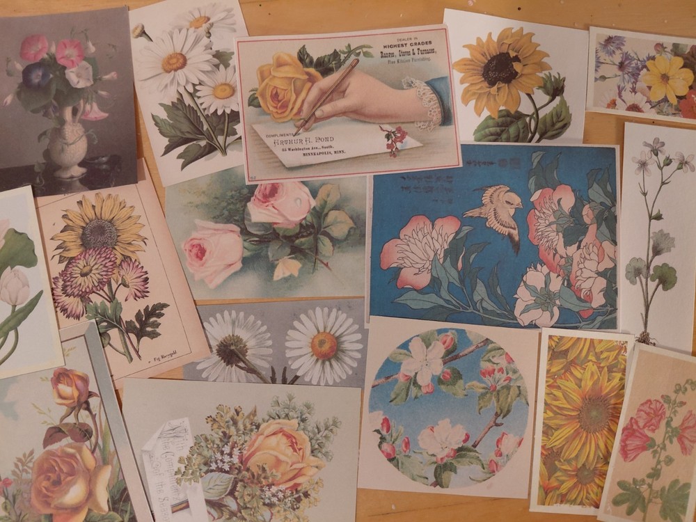 30+ Pieces Floral Vintage Ephemera, Flowers, Botanical Junk Journal, Collage