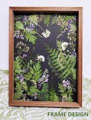 48 Pcs Mix Natural Dried Pressed Ferns for Cake Decorating, Real Fern
