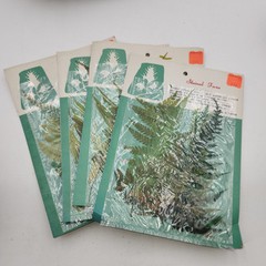 Lot 4 pkgs CHEMICAL STAINED pressed FERNS Taiwan Scrapbooking Paper Crafts NEW