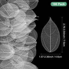 100-Pack Skeleton Leaves, Natural Rubber Tree Leaves Vein[7-9cm, White]