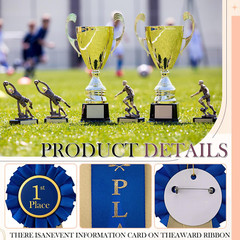 3 Pcs Award Ribbons 1St 2Nd 3Rd Place Rosette Ribbon Winner Prize Ribbons First