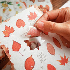Dizdkizd Nature Botanical Stickers for Journaling, Ephemera Sticker Book, Transl
