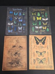 Cora Crea Scrapbook Stamps Washi Tape Paper Witchy Folklore Insects Junk Journal