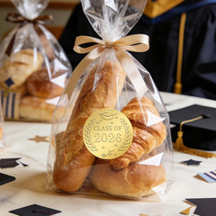 120 Gold Foil Graduation Stickers, 1.6 Inch Class of 2026 Seals, 120 Pcs