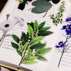 50pcs/Pack leaves stickers leaf plant and animal vellum stickers T03