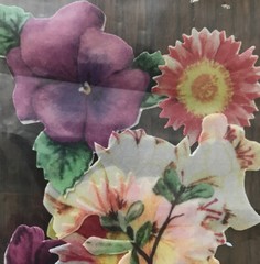 Paper Reflections 8 Vellum Die Cuts “Flowers” Stickers