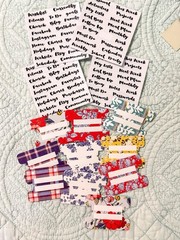 Scarlet Lime Planner Society Planner Tabs & Label Stickers Traveler’s Notebook