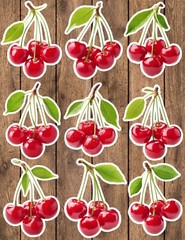 Cherries Die Cut Vinyl Stickers Set Scrapbooking Laptop Waterbottle