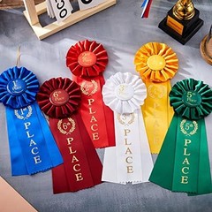6 Pcs Award Ribbon Set 1st-6th Victory Rosette Halloween First Place Ribbon 1st,