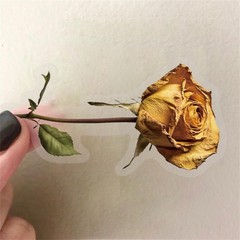 50PCS Dried Roses Stickers Aesthetic PET Transparent Stickers Vintage Gothic Flo