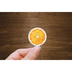 Orange, Lime, and Lemon Stickers | Die Cut, Glossy, Vinyl | Citrus Stickers