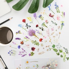160Pcs Natural Flower Stickers for Scrapbooking,Self-Adhesive Transparent Flo…