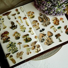100 pcs Small Mushroom Translucent Vellum Matte Surface Paper Sticker Scrapbook