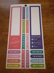 Happy Planner You Got It So Busy Yaaas Girl Write It Down stickers MAMBI 278877