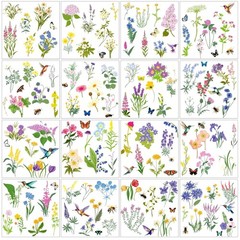Wildflower Rub on Transfers for Furniture, Scrapbook