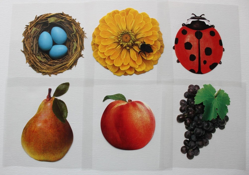 Mrs. Grossman sticker sheet You Choose – Extraordinary Photo