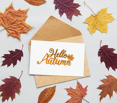 2Pcs Fall Die Cuts for Card Making and Scrapbooking, Hello Autumn Words Cutting