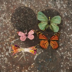 Floral Garden diecut butterflies 33 U choose pink gold or green + 40 «antenna»