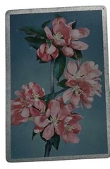 Apple Blossom Florals Bouquet Cel-u-tone Junk Journal Scrapbook Pages Crafts