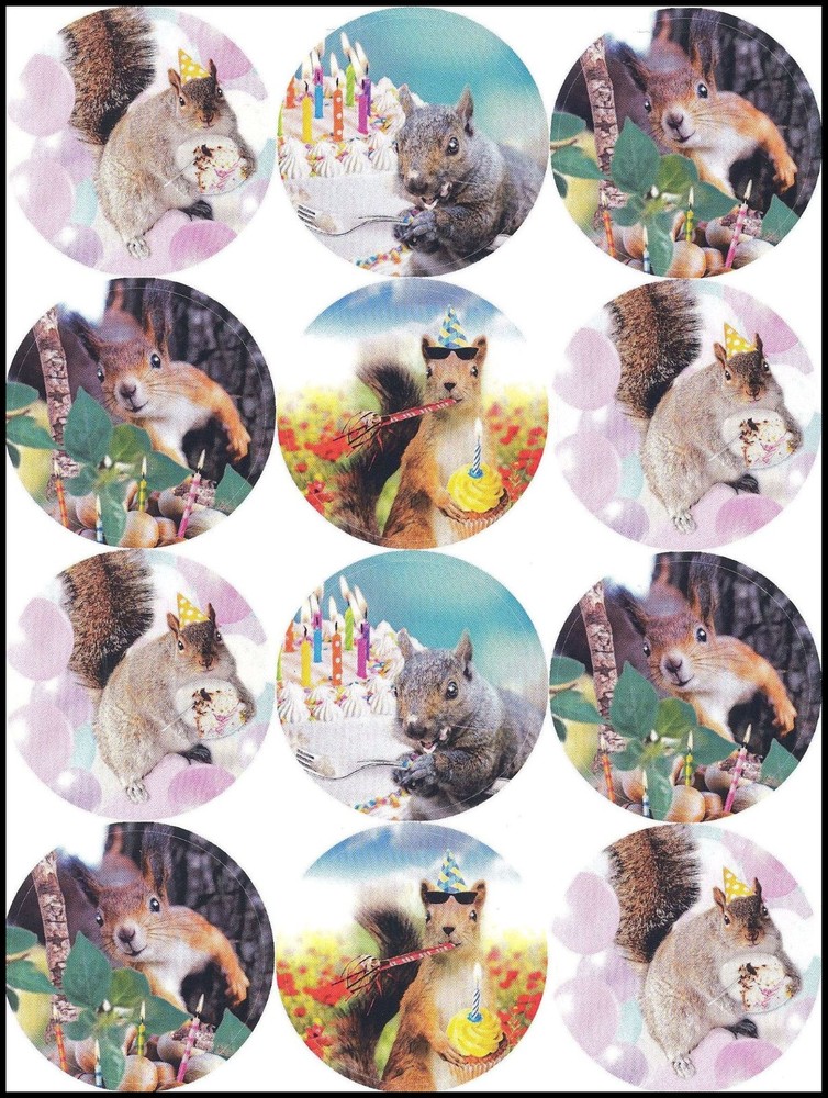 Stickers – Squirrel – CL061