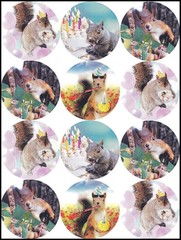 Stickers – Squirrel – CL061