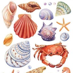 Violette Stickers – 2 Beach Seashells & Crabs Watercolor Sticker Sheets – Crafts
