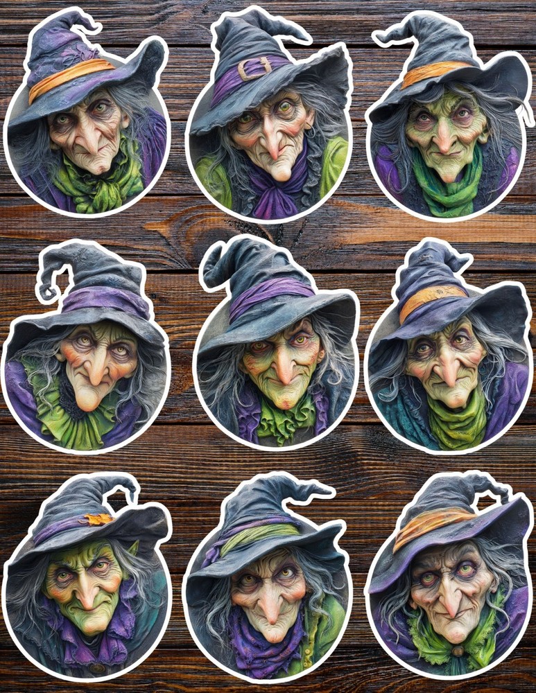 Ugly Witch Die Cut Vinyl Stickers Set Scrapbooking Laptop Water Bottle