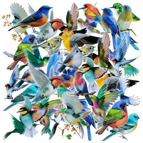 40PCS Bird Stickers, Bird Stickers Waterproof for Colorful Birds-40pcs
