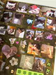 Cat Sticker Book, 30 Pages over 800 + 10Pcs Creative Kawaii Stickers Cute Die