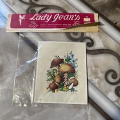 Vintage 1971 traditional Mushroom Transfer Rub On Stickers decal only 1 image