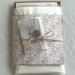 Vintage Fairy Botanical Junk Journal Kit Cottagecore Ephemera Pressed Flowers