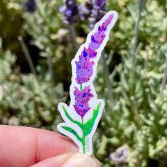 Lot of 5 Weatherproof Vinyl Stickers: Splatter Paint Lavender