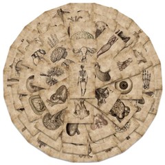 56 Stickers Diagram of Human Skeleton Anatomy Medical Study physiology vintage