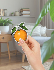 Simple Tangerine Die Cut Vinyl Stickers Set Scrapbooking Laptop Waterbottle