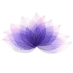 100-Pack Skeleton Leaves, Natural Rubber Leaves Vein[4-6cm, Pink, Purple]