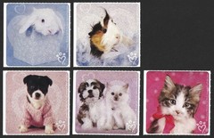 Stickers – Cat Dog Guinea Pig Rabbit – Any Occasion CL053
