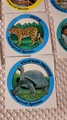 Vintage 1994 Special Expressions Endangered Species 32 Stickers Panda Seal Frog
