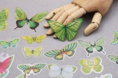 Butterfly sticker | butterflies nature green insect themed PET plastic
