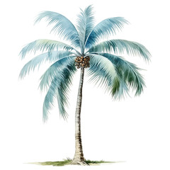 Beach Themed: Scrapbooking PNG Sticker Printables DIY Diary Planner Decor Fun